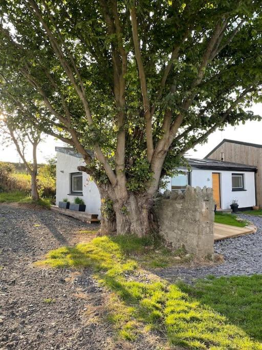 Tranquil, Secluded, Rural Cottage For Two Beaumaris Kültér fotó