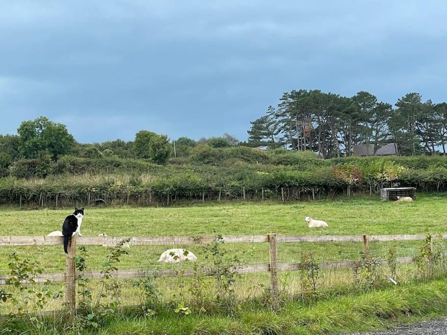 Tranquil, Secluded, Rural Cottage For Two Beaumaris Kültér fotó